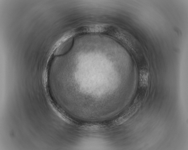 X0000112920726200909141312