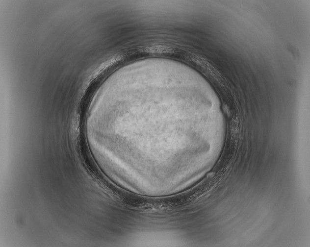 X0000112920727200909141312