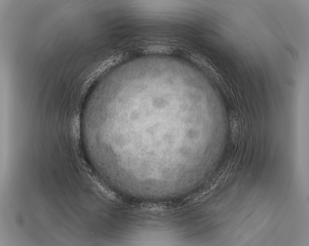 X0000112920729200909141312