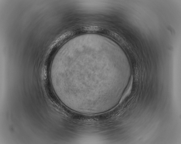 X0000112920731200909141312