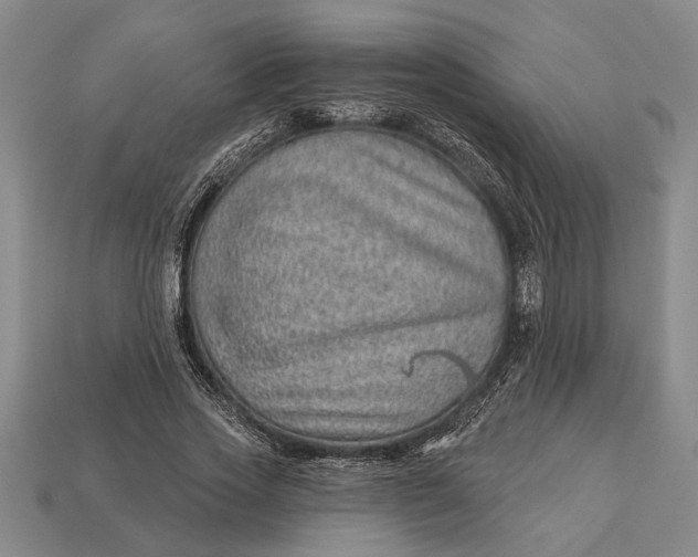X0000112920733200909141312