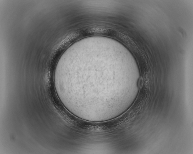 X0000112920735200909141312
