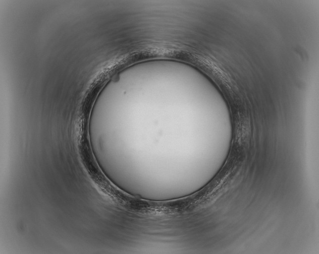 X0000112920736200909141312
