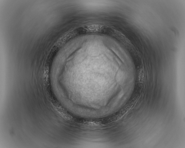 X0000112920737200909141312