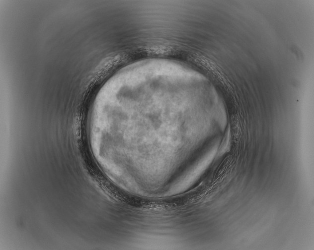 X0000112920738200909141312