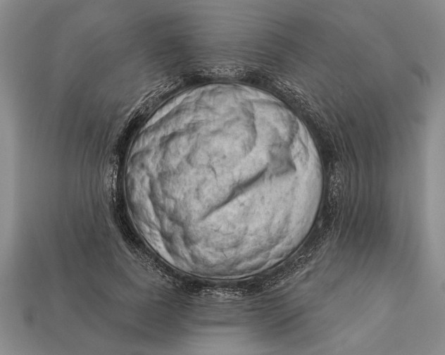 X0000112920739200909141312