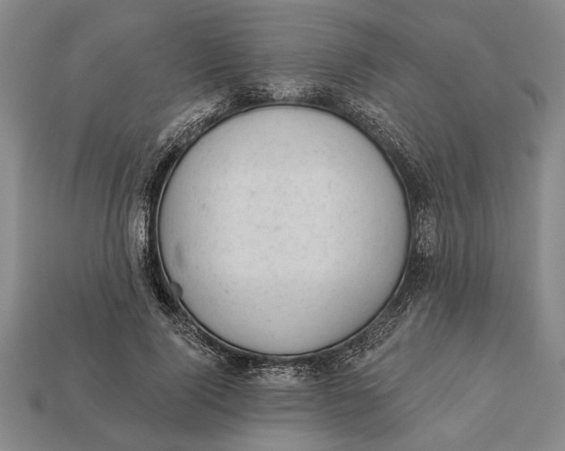 X0000112920740200909141312