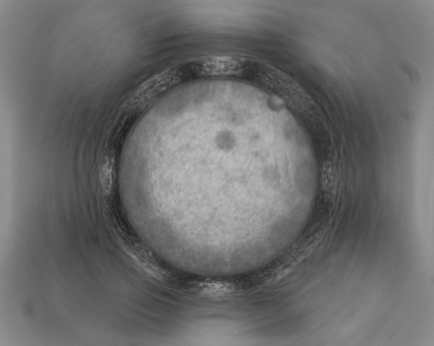 X0000112920741200909141312