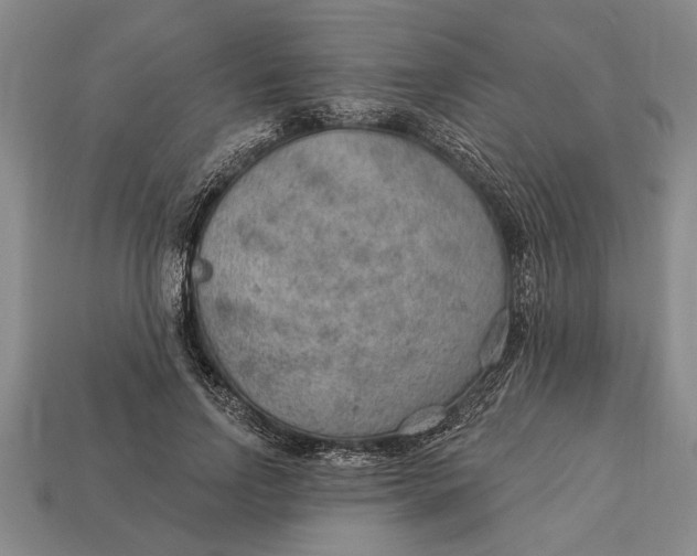 X0000112920742200909141312