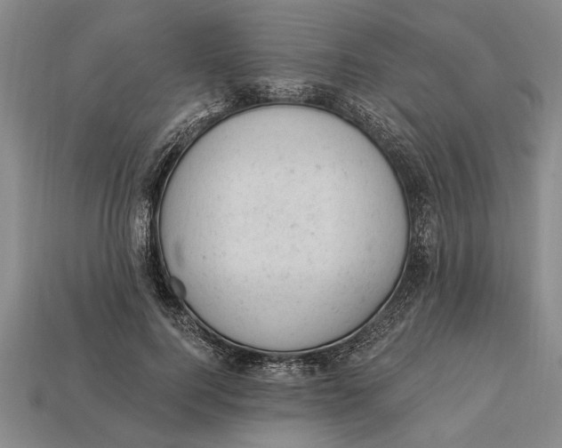 X0000112920744200909141312