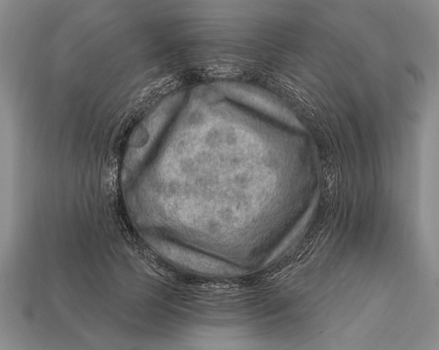 X0000112920745200909141312