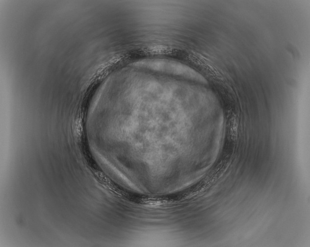 X0000112920746200909141312