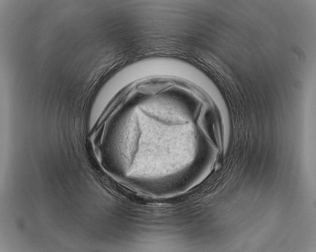 X0000112920748200909141312