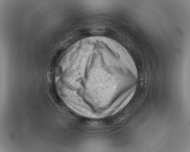X0000112920755200909141312