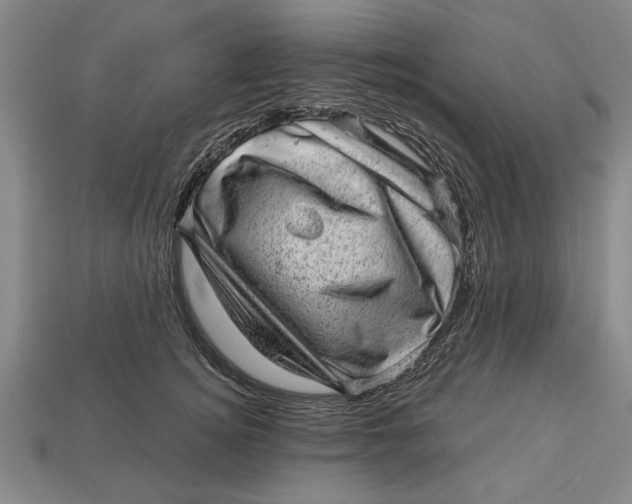 X0000112920756200909141312