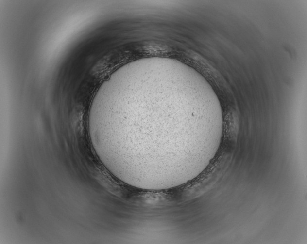 X0000112920762200909141312