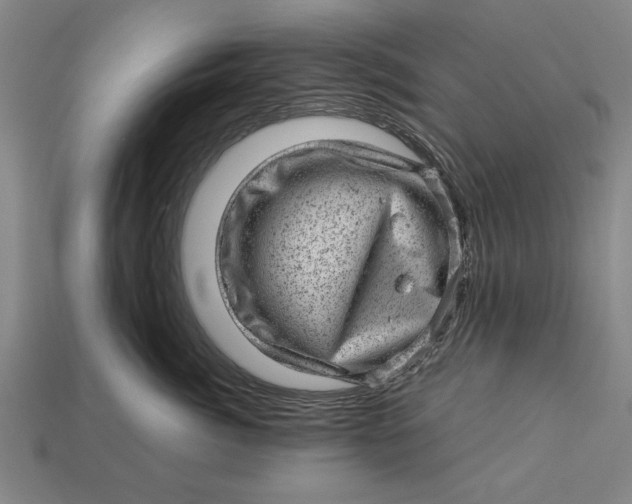 X0000112920764200909141312