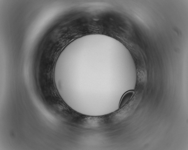 X0000112920766200909141312