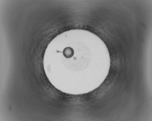 X0000112920769200909141312
