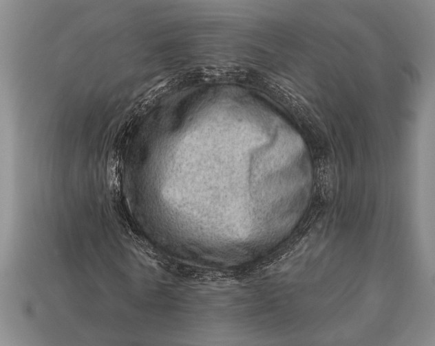 X0000112920770200909141312