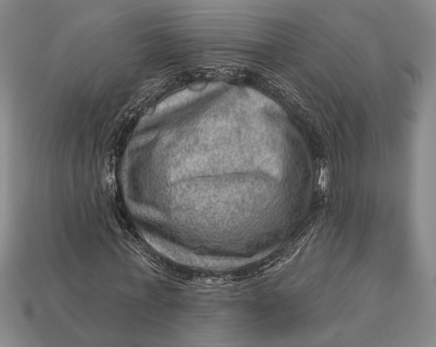 X0000112920771200909141312
