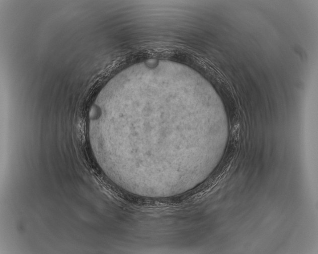X0000112920772200909141312