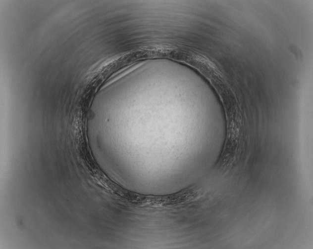 X0000112920773200909141312