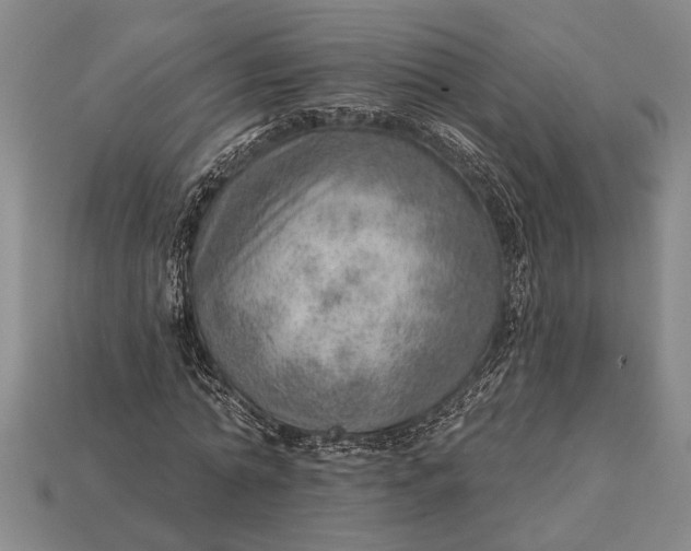 X0000112920774200909141312
