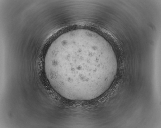 X0000112920776200909141312