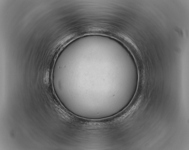 X0000112920777200909141312