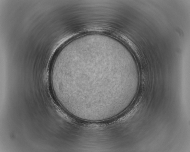 X0000112920779200909141312