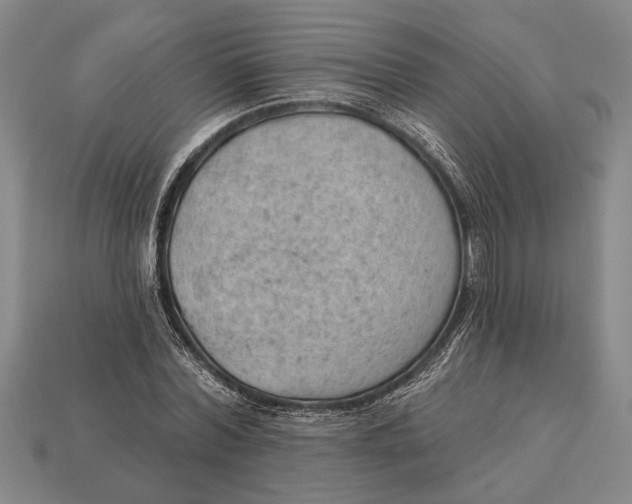 X0000112920780200909141312