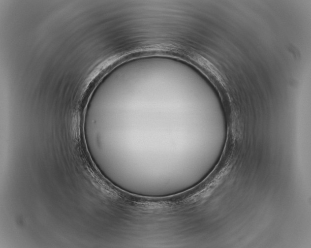 X0000112920781200909141312