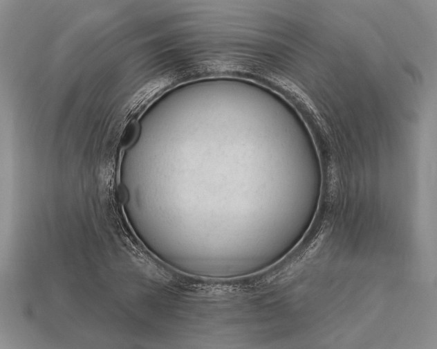 X0000112920785200909141312