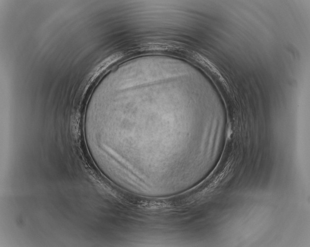 X0000112920786200909141312