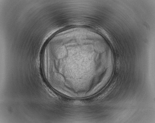 X0000112920787200909141312
