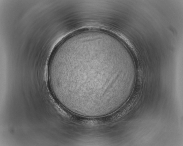 X0000112920791200909141311