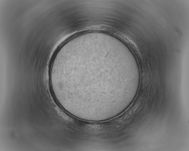 X0000112920792200909141311