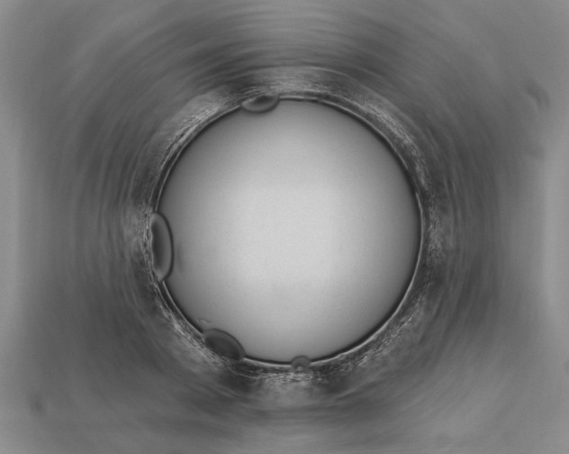 X0000112920793200909141311