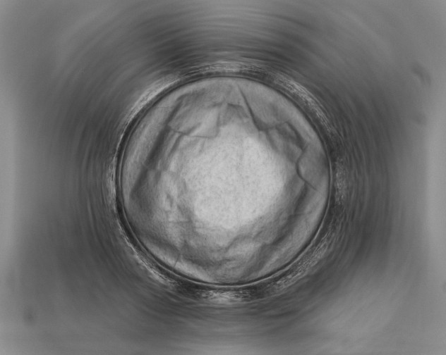 X0000112920794200909141311