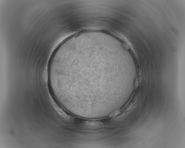 X0000112920795200909141311