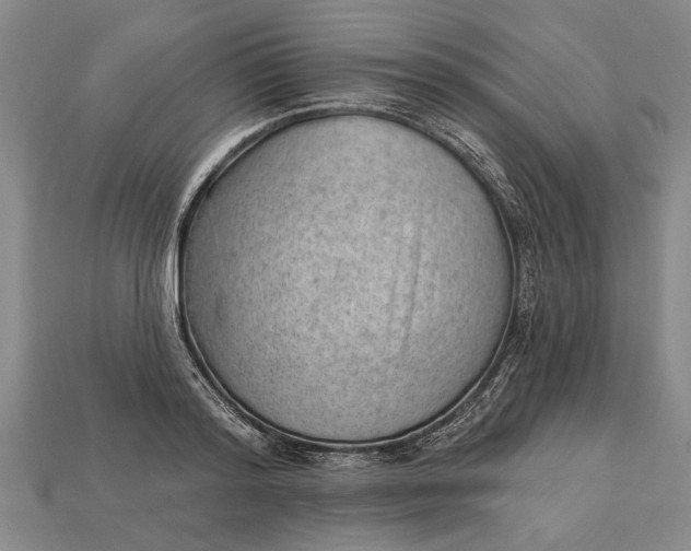 X0000112920796200909141311