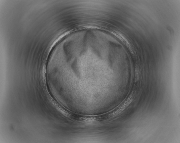 X0000112920798200909141311