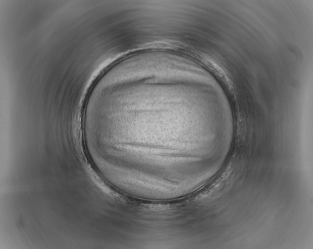 X0000112920800200909141311