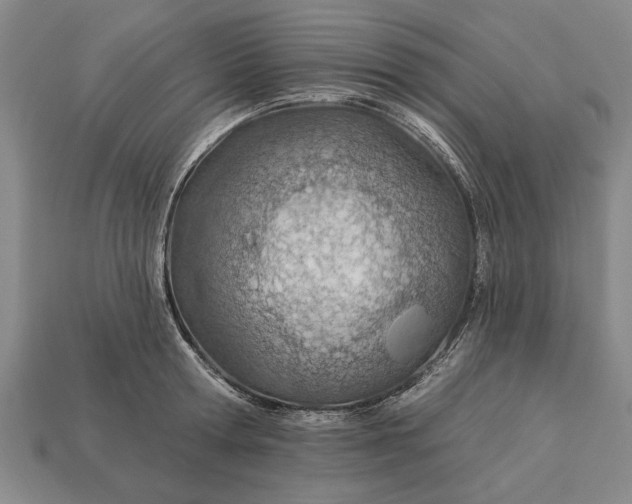 X0000112920802200909141311
