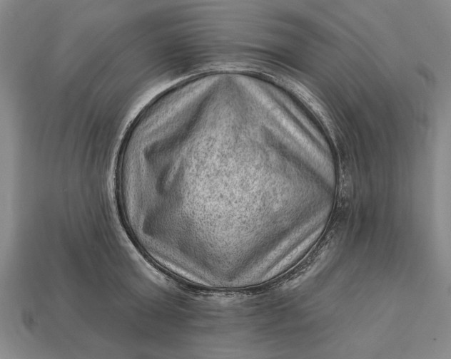 X0000112920803200909141311