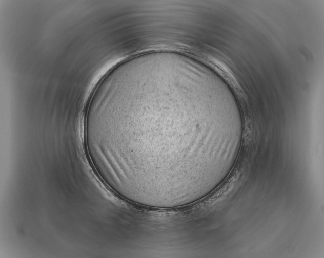 X0000112920804200909141311