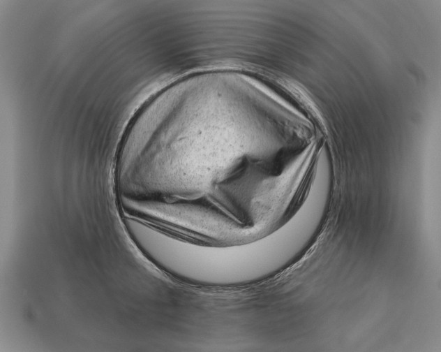 X0000112920805200909141311