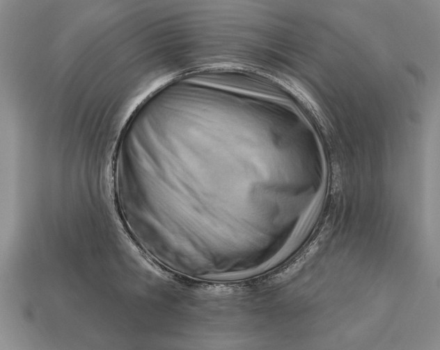 X0000112920806200909141311
