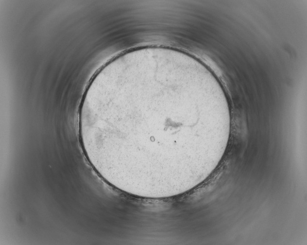 X0000112920807200909141311